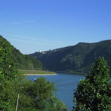 Pension / Ferienwohnungen Scheid Kestert Exteriör bild