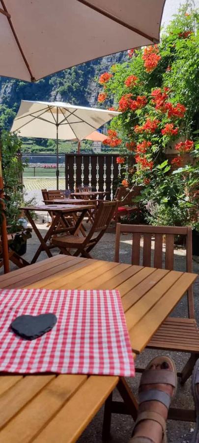 Pension / Ferienwohnungen Scheid Kestert Exteriör bild