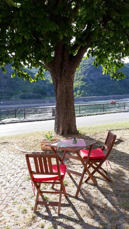 Pension / Ferienwohnungen Scheid Kestert Exteriör bild