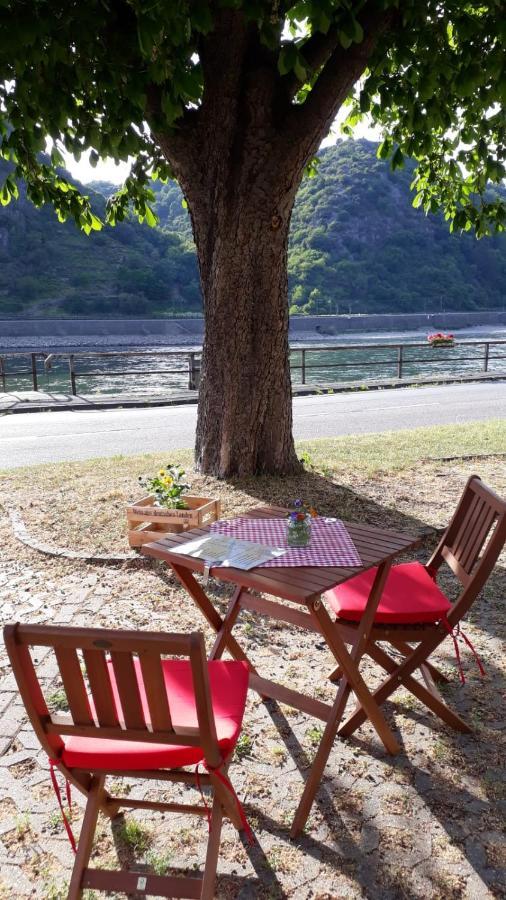 Pension / Ferienwohnungen Scheid Kestert Exteriör bild